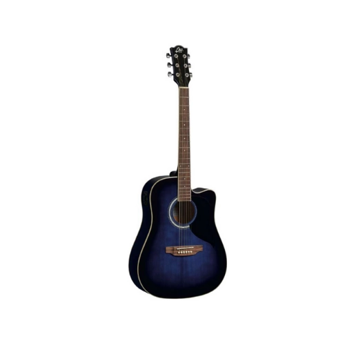 Eko Ranger CW EQ Gitar