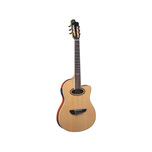 Eko NXT N100CE Gitar